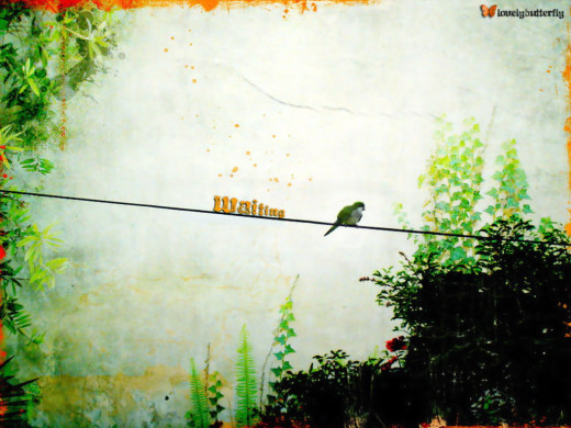 394640 (a): :1024x768